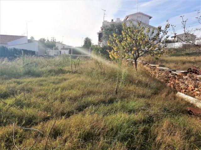 Local Comercial en venta en Baix Penedès, Catalunya