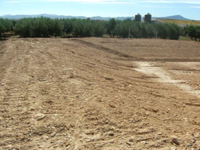 Terreno en alquiler en Fuente Álamo De Murcia, Fuente Alamo