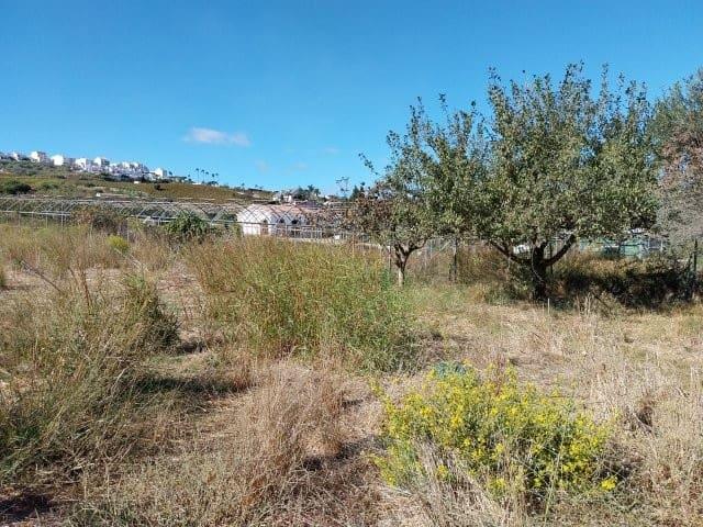 Terreno en alquiler en San Luis de Sabinillas, Manilva
