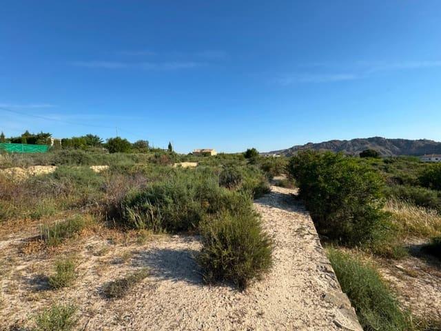 Terreno en venta en Virgen del Oro, Vega Alta del Segura