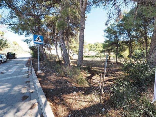 Terreno en venta en la Marina Alta, Valencia