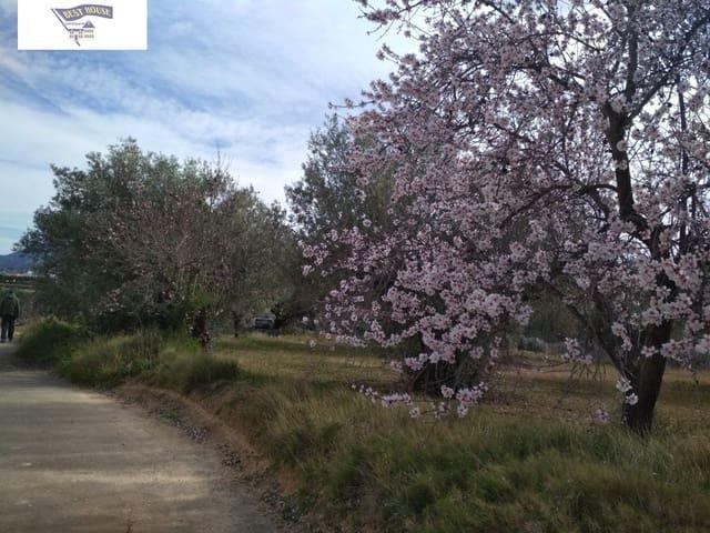 Terreno en venta en la Vall d'Albaida, Valencia
