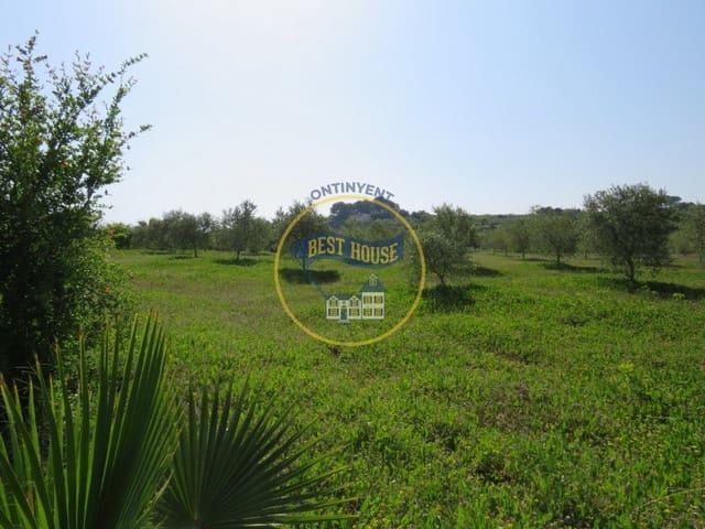 Terreno en venta en la Vall d'Albaida, Valencia