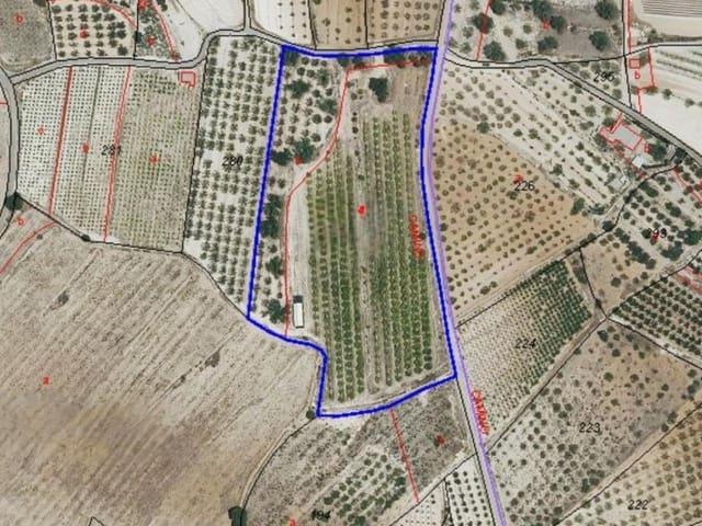 Terreno en venta en la Vall d'Albaida, Valencia