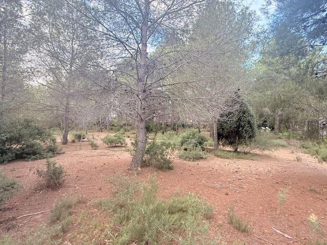 Terreno en venta en Albalat dels Tarongers, València / Valencia
