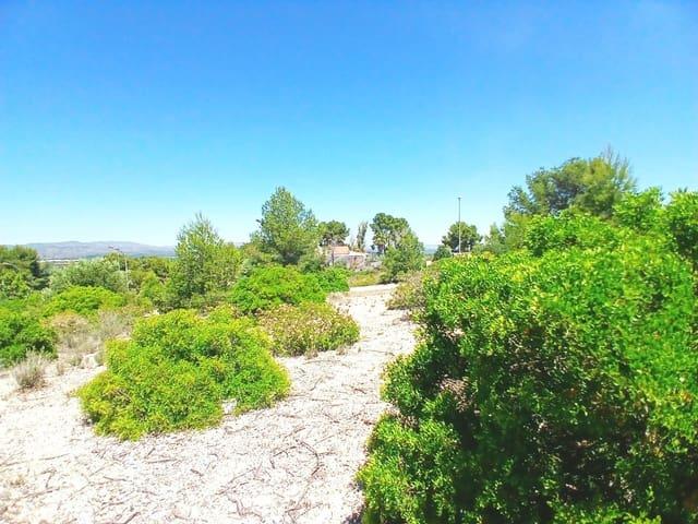 Terreno en venta en la Ribera Alta, Valencia