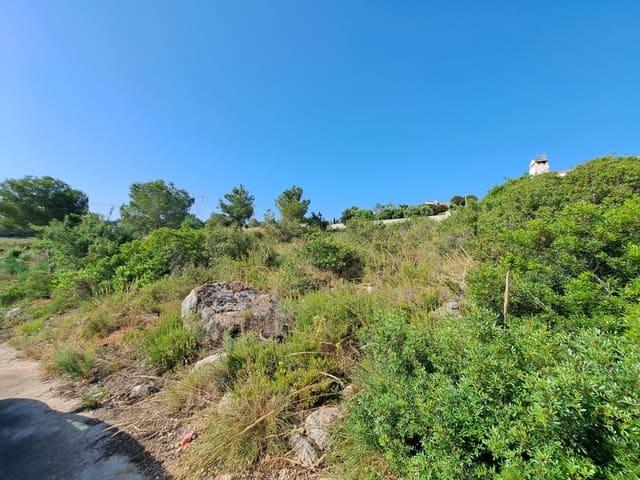 Terreno en venta en la Ribera Alta, Valencia