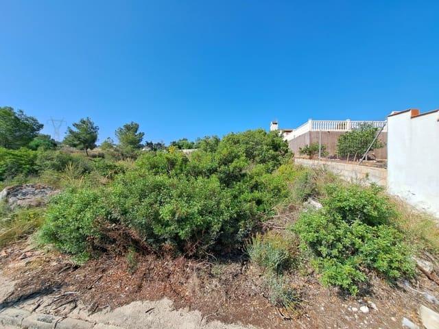 Terreno en venta en la Ribera Alta, Valencia