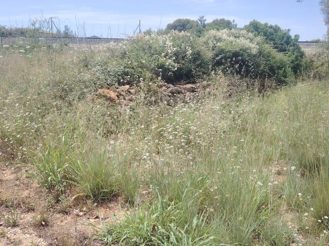 Terreno en venta en la Marina Alta, Valencia