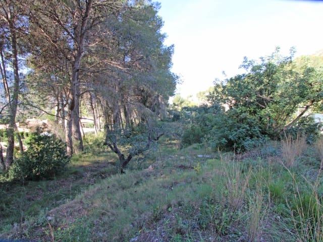 Terreno en venta en la Marina Alta, Valencia