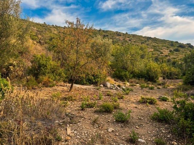 Terreno en venta en la Marina Alta, Valencia