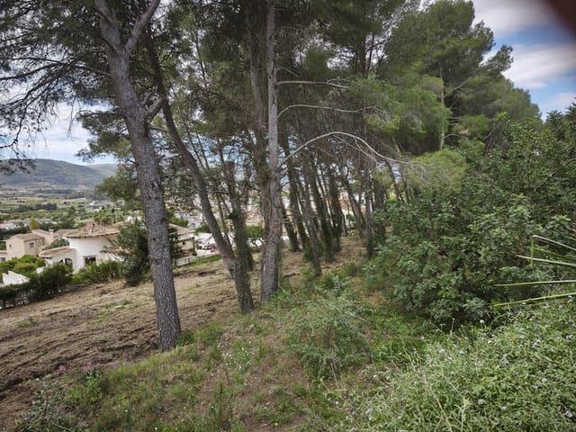 Terreno en venta en la Marina Alta, Valencia
