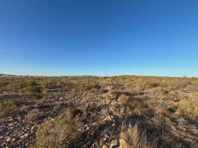 Terreno en venta en Alcantarilla