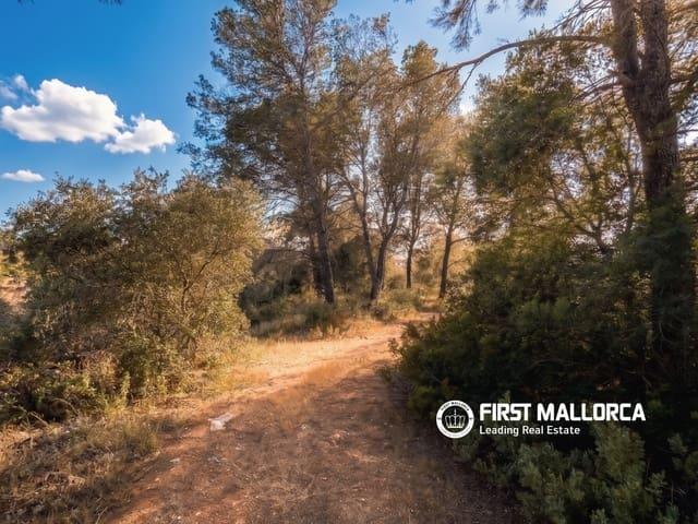 Terreno en venta en Pla de Mallorca, Baleares
