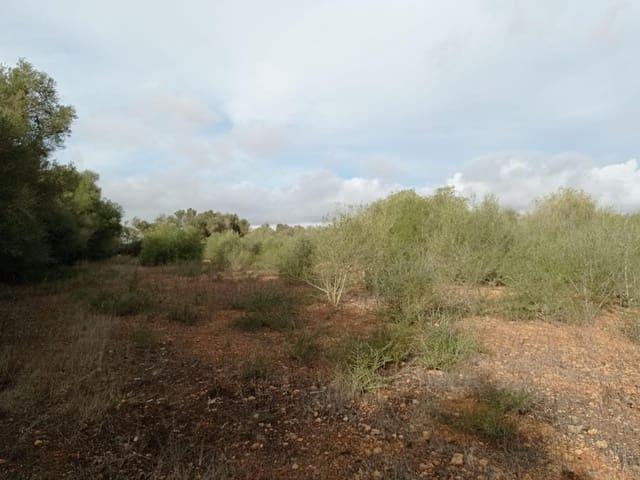 Terreno en venta en Algaida