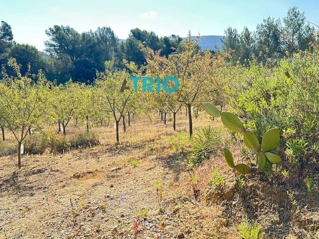 Terreno en venta en Pla de Mallorca, Baleares
