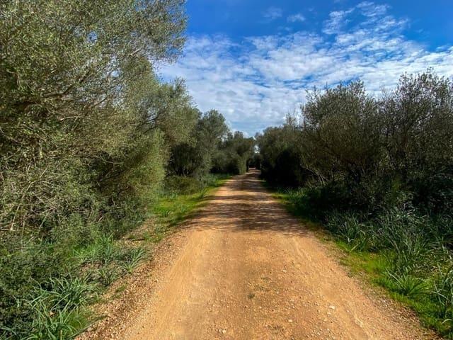 Terreno en venta en Algaida