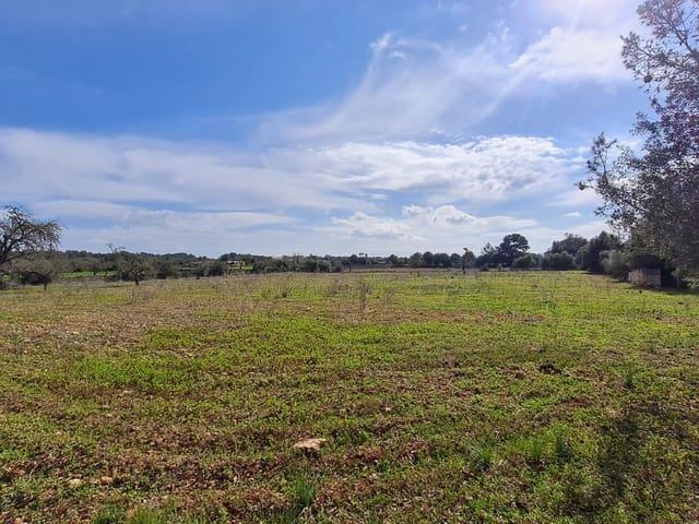 Terreno en venta en Algaida