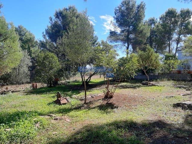 Terreno en venta en el Camp de Morvedre, Valencia