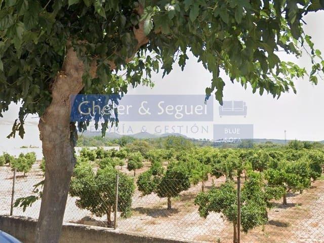 Terreno en venta en el Camp de Morvedre, Valencia