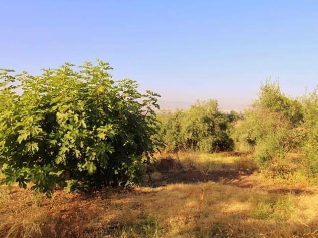 Terreno en venta en Los Tomillares, Valle del Guadalhorce