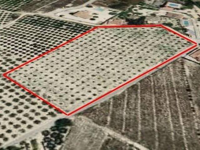 Terreno en venta en Nostra Senyora de Gràcia, Alicante