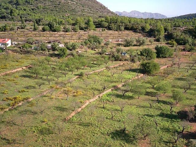 Terreno en venta en Murla Terreno en venta en Murla