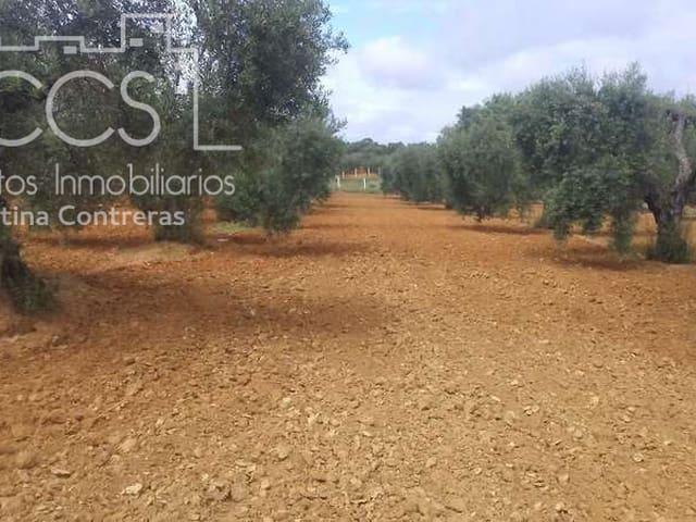 Terreno en venta en El Condado, Andalucía
