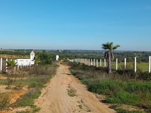 Terreno en venta en El Condado, Andalucía