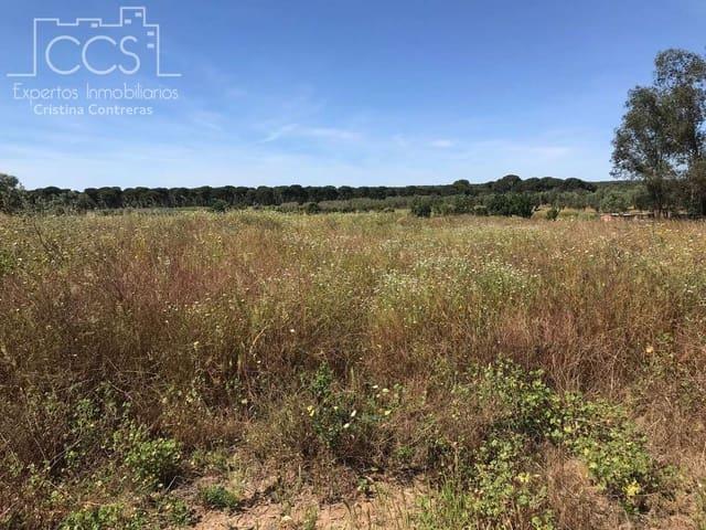 Terreno en venta en El Condado, Andalucía