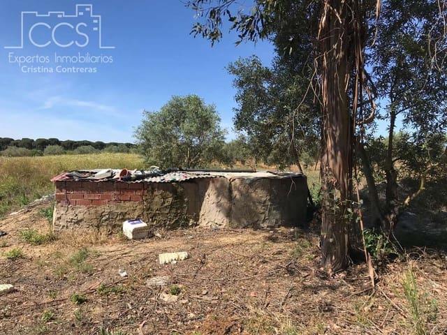 Terreno en venta en El Condado, Andalucía