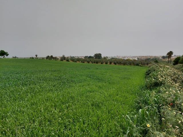 Terreno en venta en El Condado, Andalucía