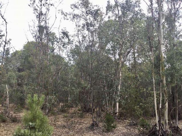 Terreno en venta en El Condado, Andalucía