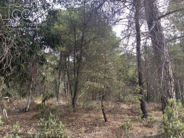 Terreno en venta en El Condado, Andalucía