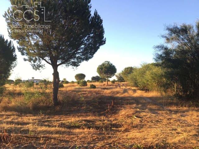 Terreno en venta en El Condado, Andalucía