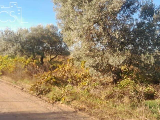 Terreno en venta en Almonte, Huelva