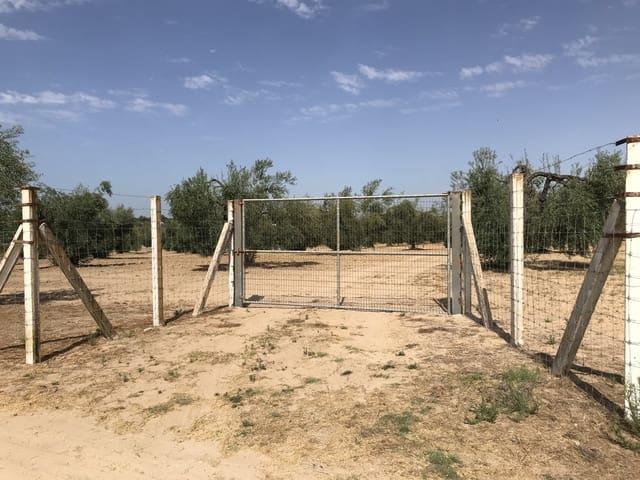 Terreno en venta en El Condado, Andalucía