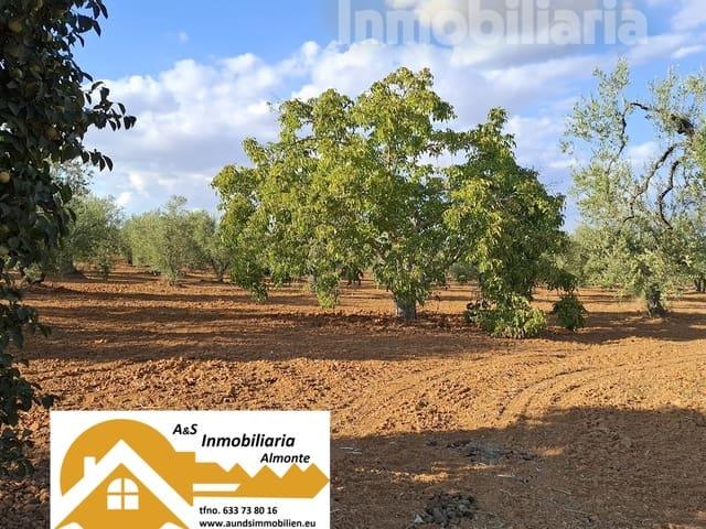 Terreno en venta en El Condado, Andalucía