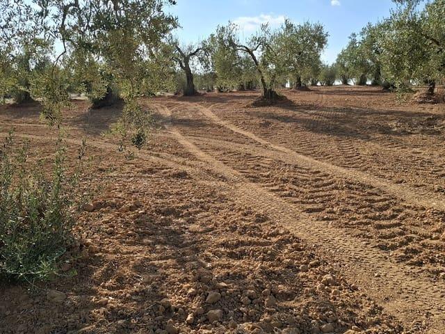 Terreno en venta en El Condado, Andalucía