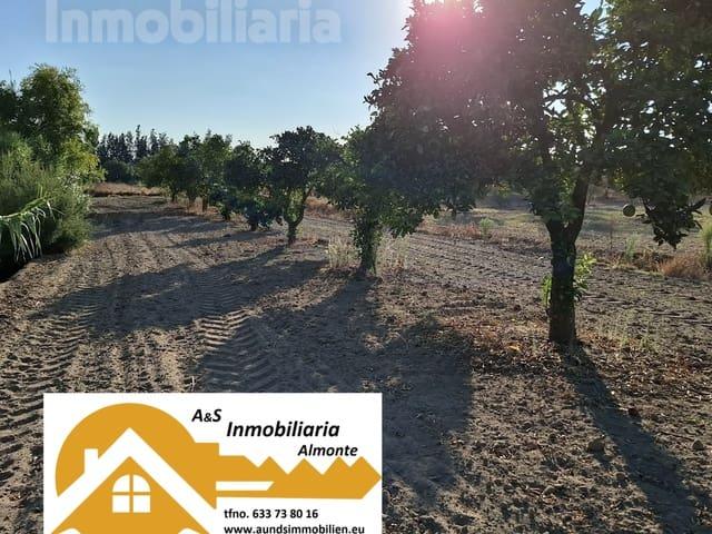 Terreno en venta en El Condado, Andalucía