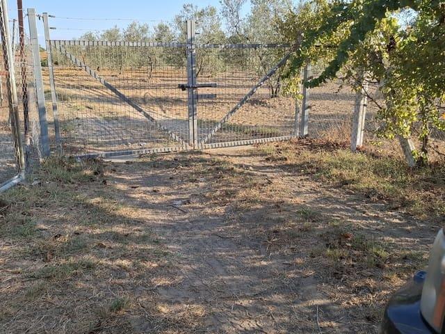 Terreno en venta en El Condado, Andalucía