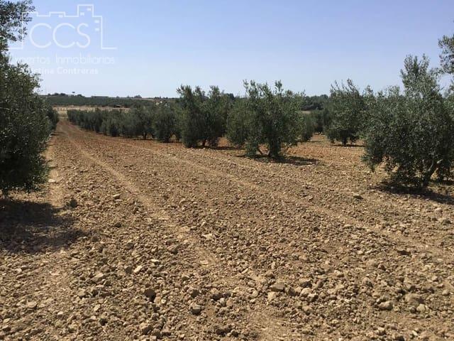 Terreno en venta en El Condado, Andalucía
