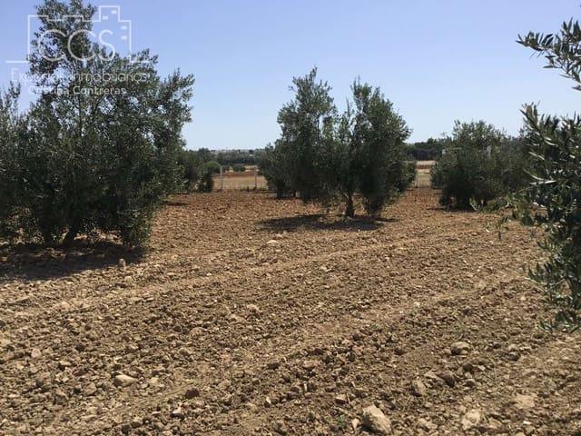 Terreno en venta en El Condado, Andalucía