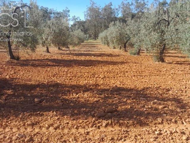 Terreno en venta en El Condado, Andalucía
