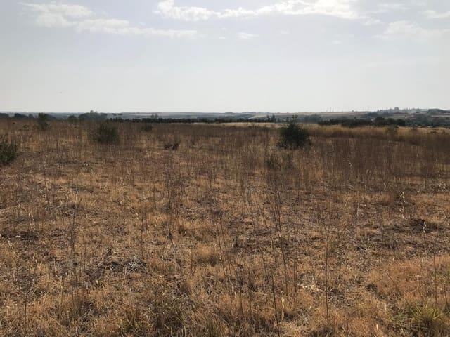 Terreno en venta en El Condado, Andalucía