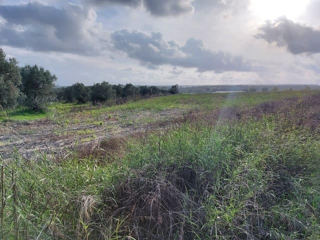 Terreno en venta en El Condado, Andalucía