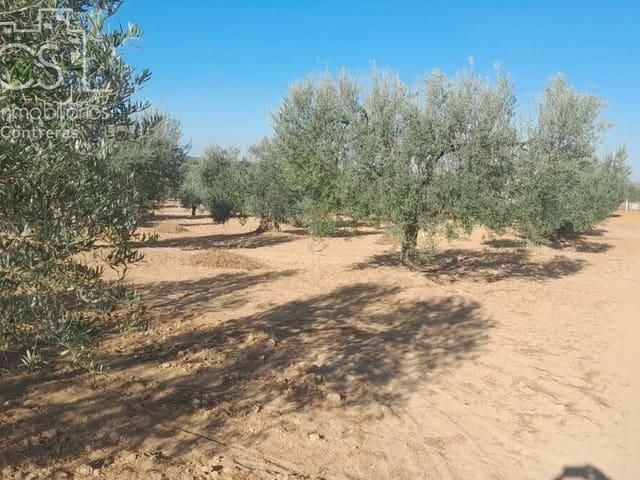 Terreno en venta en El Condado, Andalucía