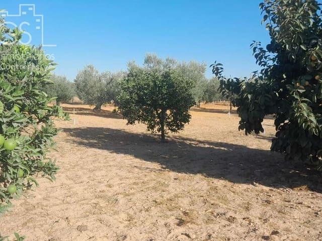 Terreno en venta en El Condado, Andalucía