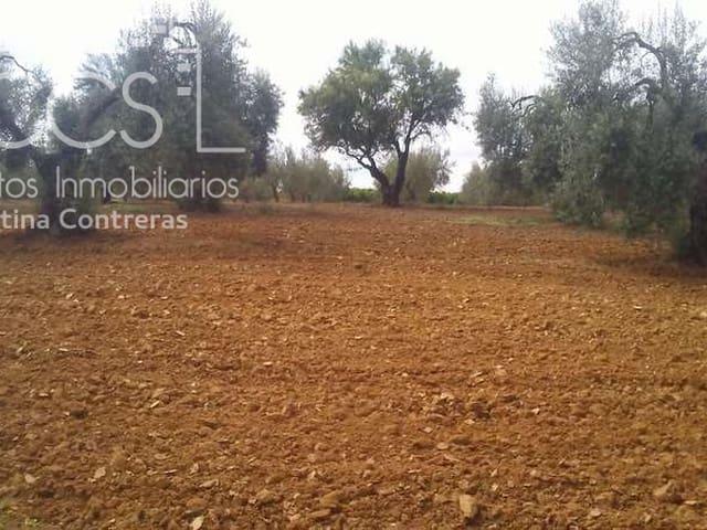 Terreno en venta en El Condado, Andalucía