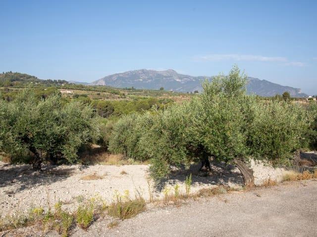 Terreno en venta en el Comtat, Valencia